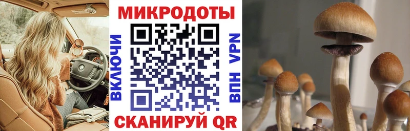 наркотики Змеиногорск Псилоцибиновые грибы Cubensis
